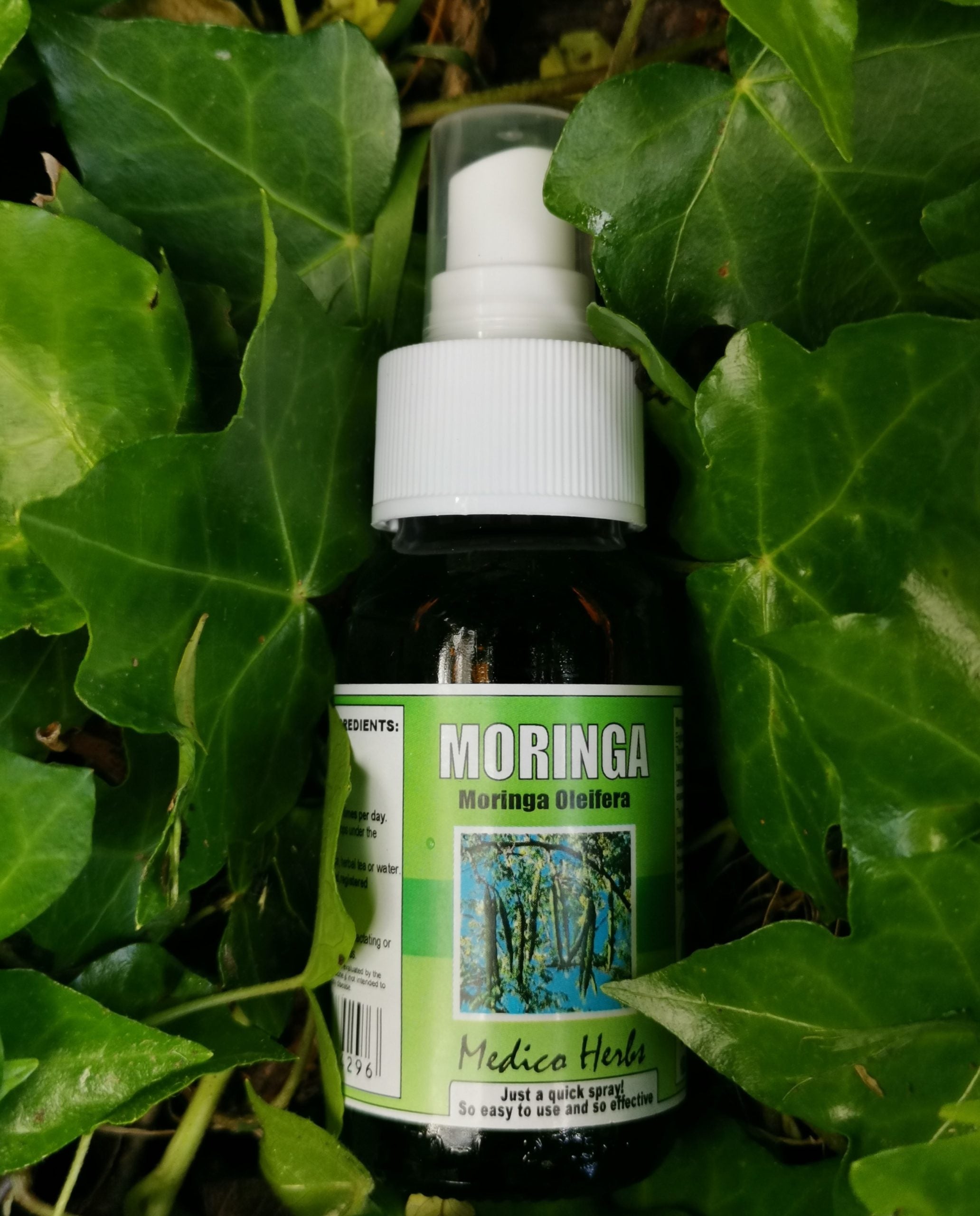 Moringa Spray - 50ml