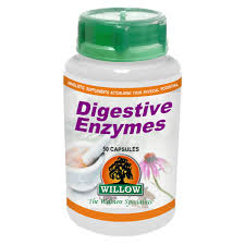 Willow Digestive Enzymes - 100 caps